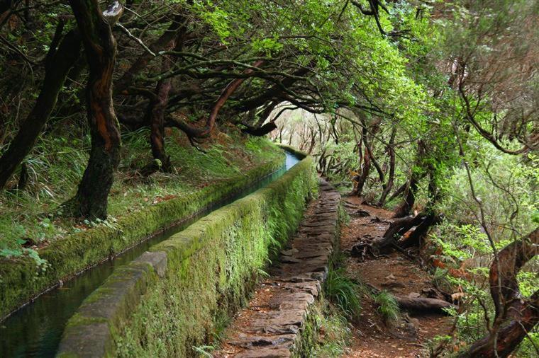 Cantinho da Té Câmara de Lobos Exteriér fotografie